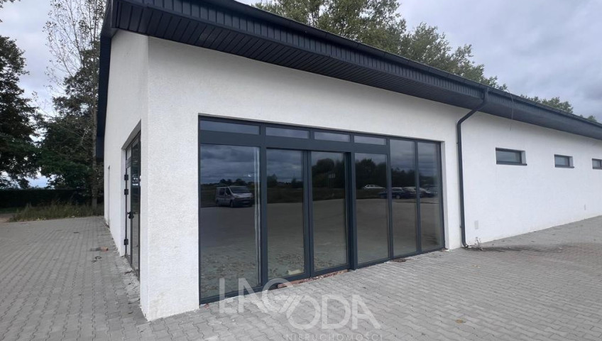 Lokal Wynajem Gorzów Wielkopolski