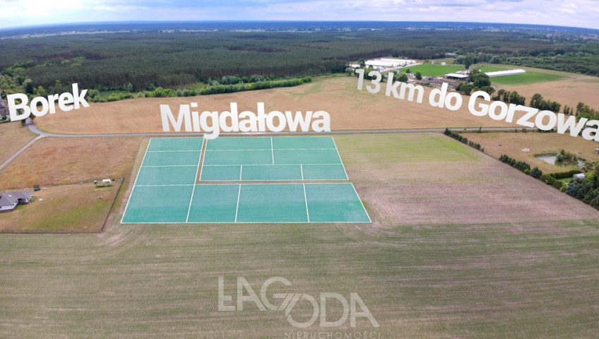 Działka Sprzedaż Borek