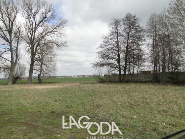 Działka Sprzedaż Gorzów Wielkopolski Zakanale