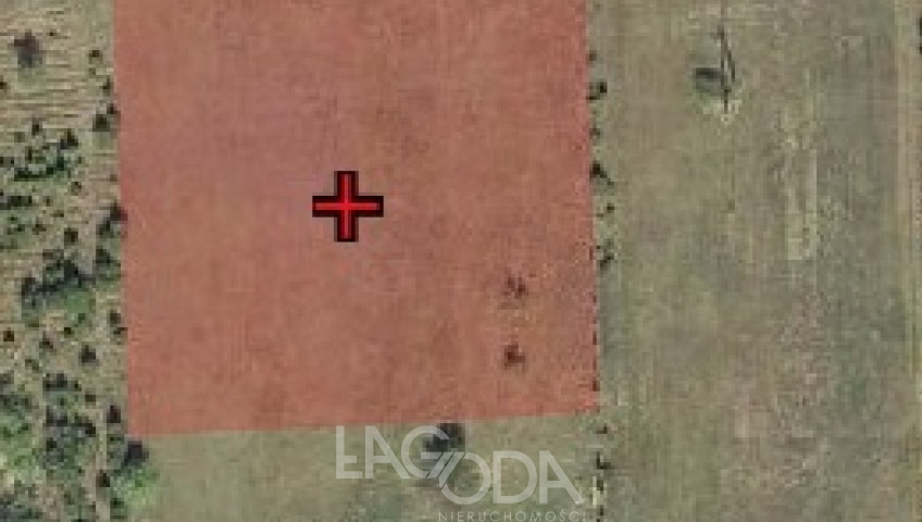 Działka Sprzedaż Białcz