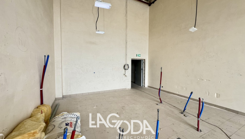 Lokal Wynajem Gorzów Wielkopolski