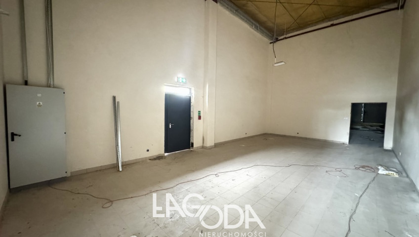 Lokal Wynajem Gorzów Wielkopolski