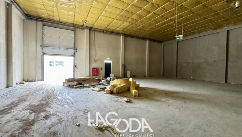 Lokal Wynajem Gorzów Wielkopolski