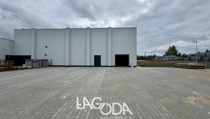 Lokal Wynajem Gorzów Wielkopolski