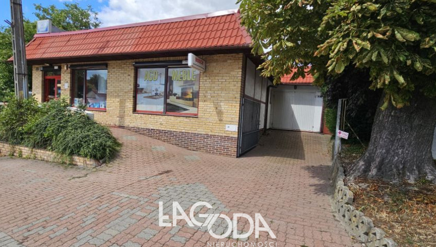 Lokal Sprzedaż Cedynia Mieszka I