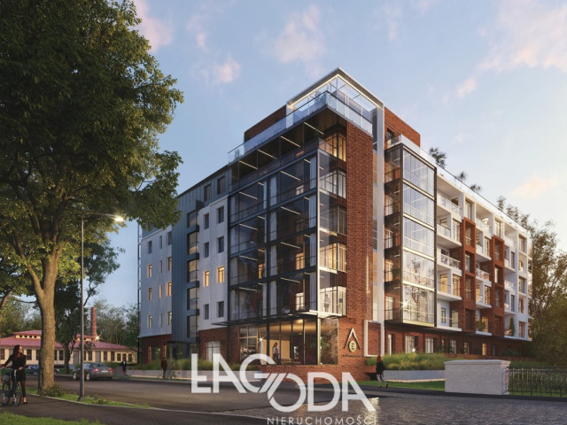 Lokal Wynajem Gorzów Wielkopolski Śródmieście