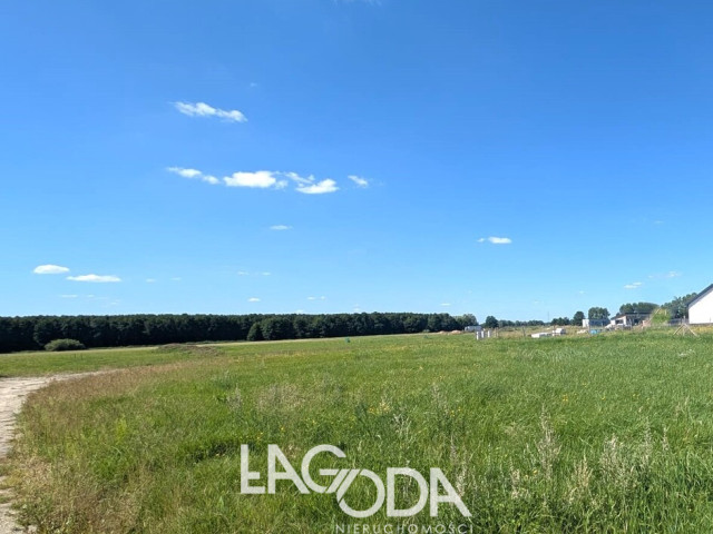 Działka Sprzedaż Bolemin