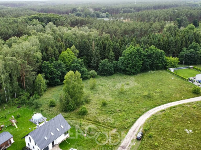 Działka Sprzedaż Skwierzyna Poziomkowa