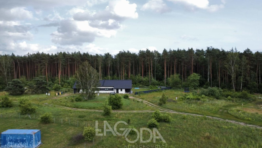 Działka Sprzedaż Skwierzyna Poziomkowa