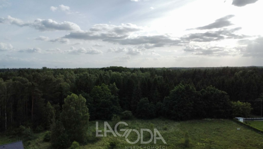 Działka Sprzedaż Skwierzyna Poziomkowa