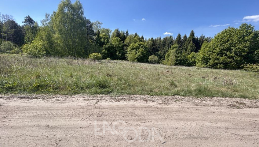 Działka Sprzedaż Skwierzyna Poziomkowa