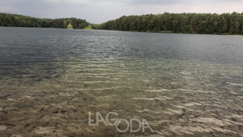 Działka Sprzedaż Danków