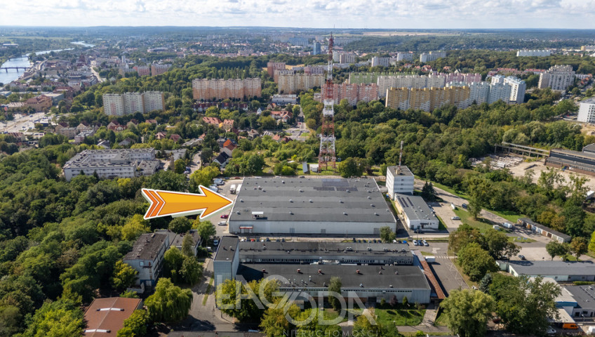 Obiekt Wynajem Gorzów Wielkopolski