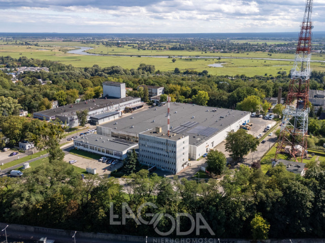 Obiekt Wynajem Gorzów Wielkopolski