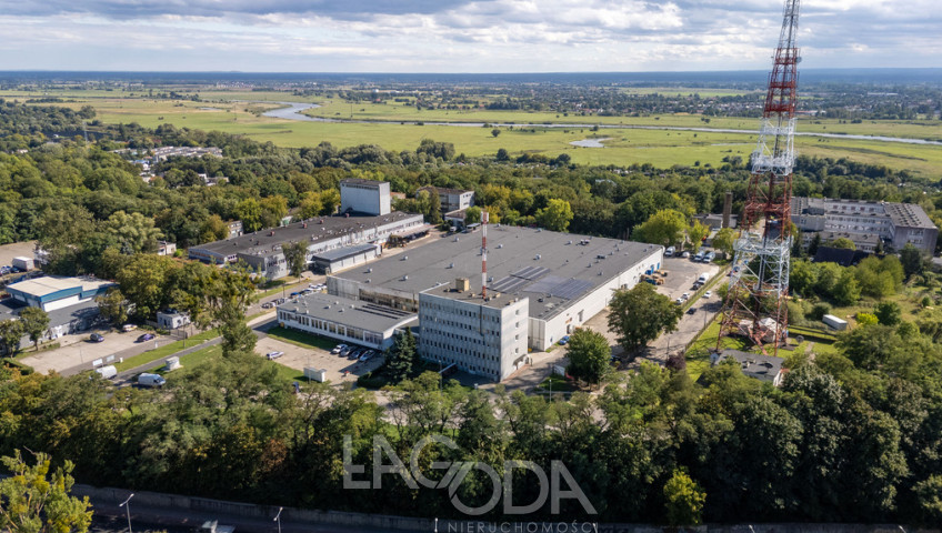 Obiekt Wynajem Gorzów Wielkopolski