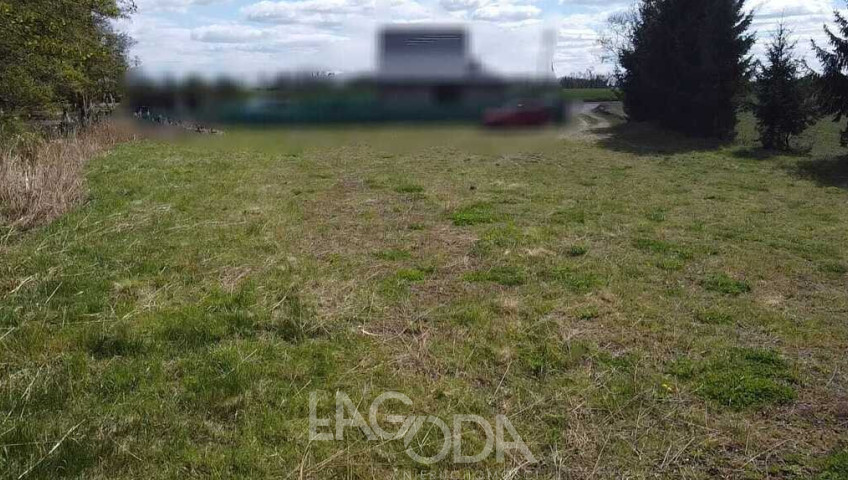 Działka Sprzedaż Kłodawa