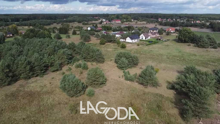 Działka Sprzedaż Łośno
