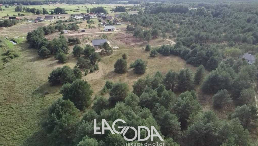 Działka Sprzedaż Łośno