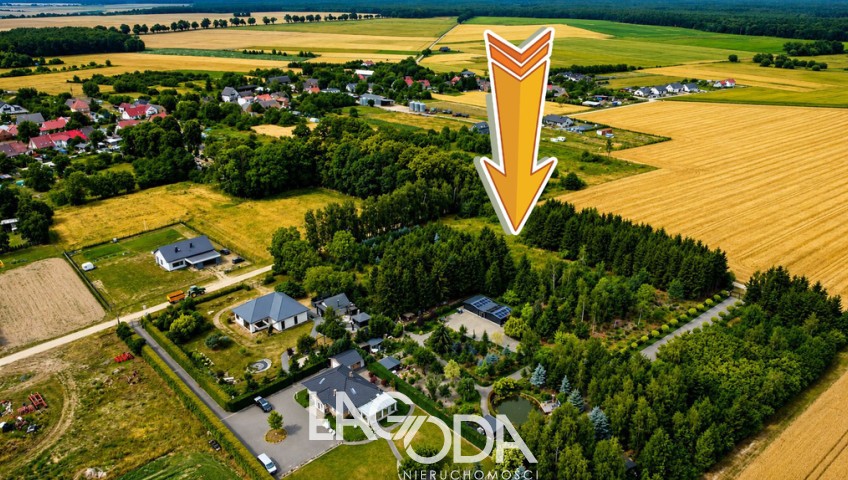 Działka Sprzedaż Gralewo