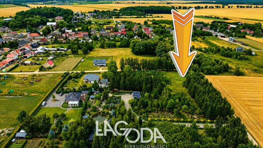 Działka Sprzedaż Gralewo