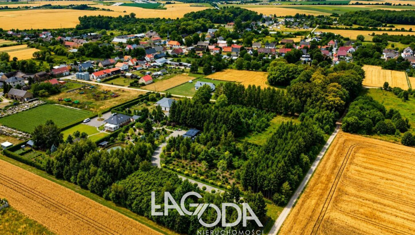 Działka Sprzedaż Gralewo