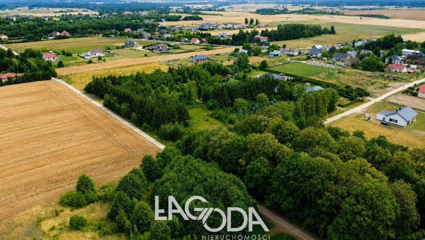 Działka Sprzedaż Gralewo