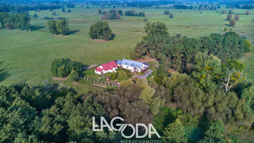 Dom Sprzedaż Podjenin