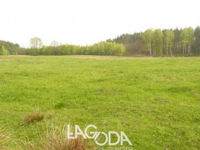 Działka Sprzedaż Kinice