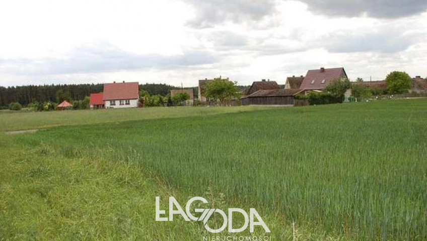 Działka Sprzedaż Stanowice