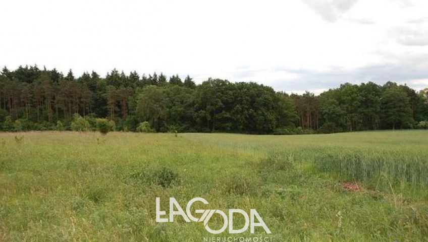 Działka Sprzedaż Stanowice