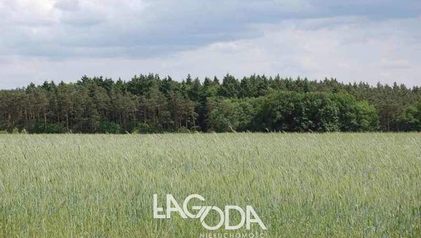 Działka Sprzedaż Stanowice