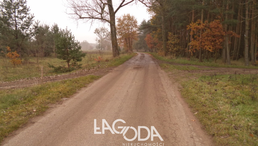 Działka Sprzedaż Goszczanowiec