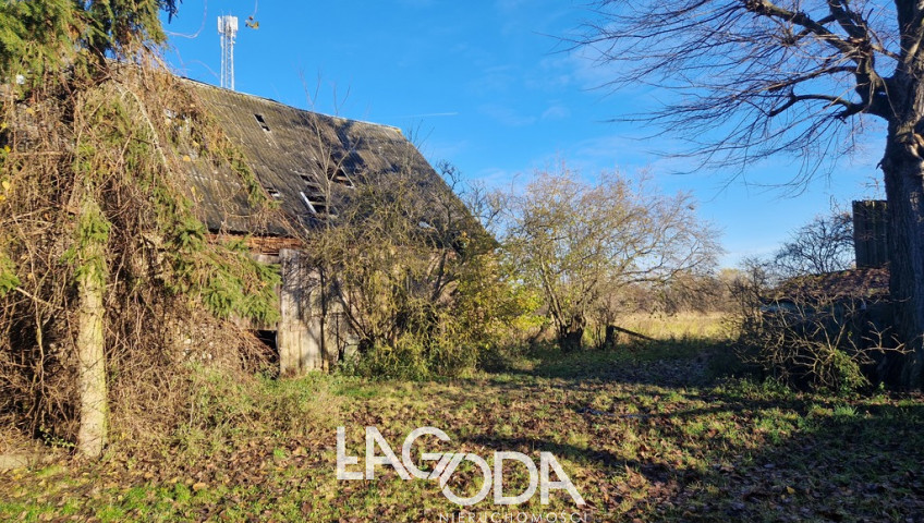 Działka Sprzedaż Gorzów Wielkopolski Wieprzyce