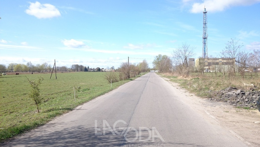 Działka Sprzedaż Gorzów Wielkopolski Zakanale