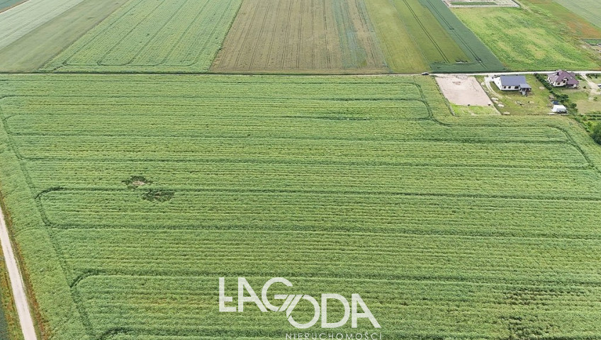 Działka Sprzedaż Gralewo