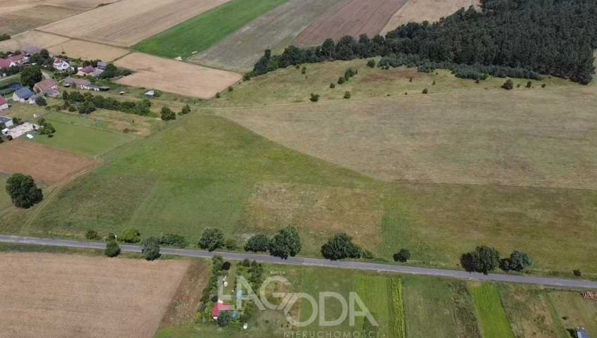 Działka Sprzedaż Świniary