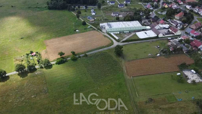 Działka Sprzedaż Świniary
